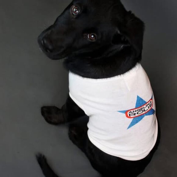 Brad Spitt Bodysuit: The Red Carpet Ready Onesie! - Picture 8 of 8